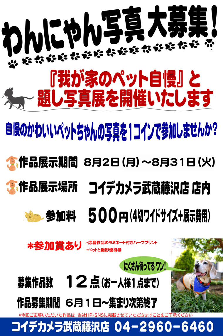 証明写真 写真プリントのコイデカメラ 武蔵藤沢店 証明写真 写真プリントはコイデカメラ