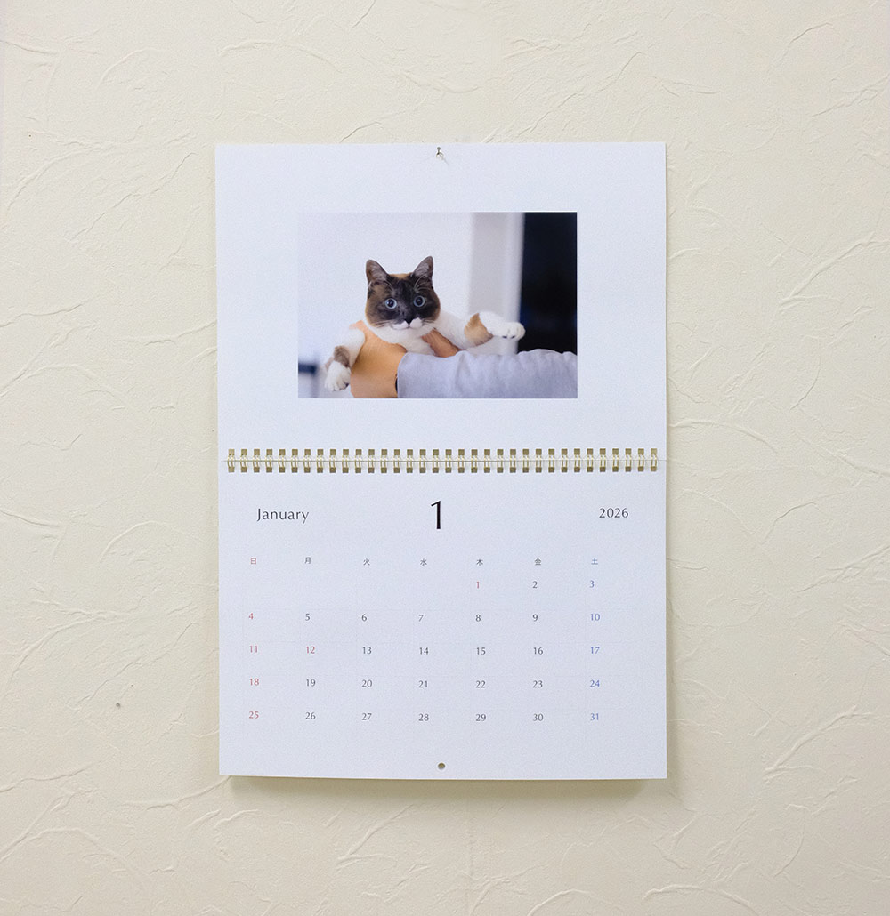ペット写真 壁掛けカレンダー A3 PDAY