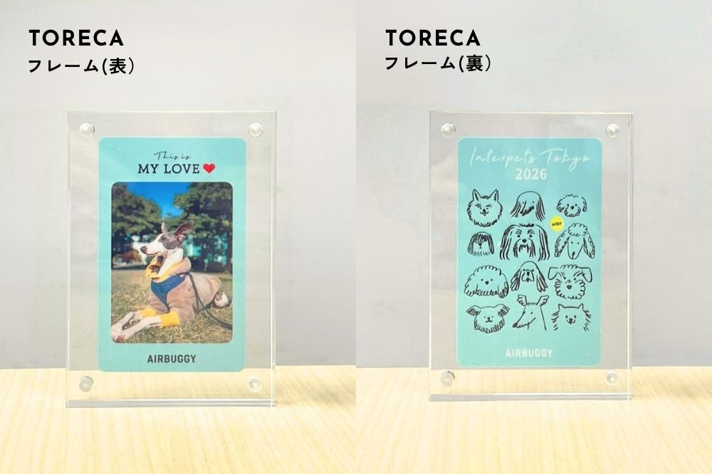 オプションフレーム